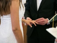 Erfahrener reifer Alpha Bulle gesucht